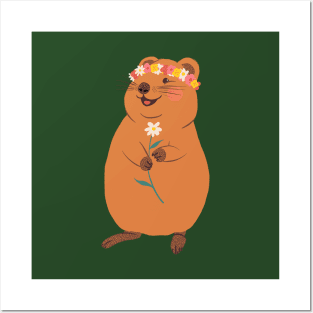 Quigley the Quokka Posters and Art